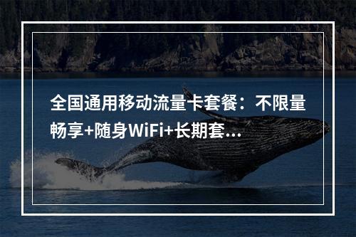 全国通用移动流量卡套餐：不限量畅享+随身WiFi+长期套餐优选