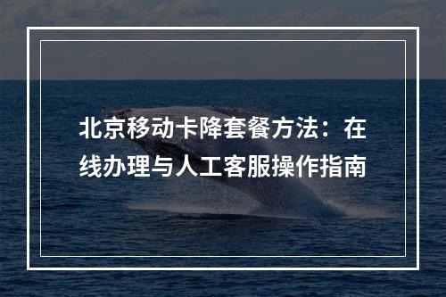 北京移动卡降套餐方法：在线办理与人工客服操作指南
