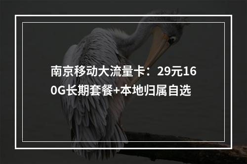 南京移动大流量卡：29元160G长期套餐+本地归属自选