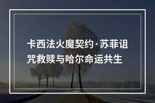 卡西法火魔契约·苏菲诅咒救赎与哈尔命运共生