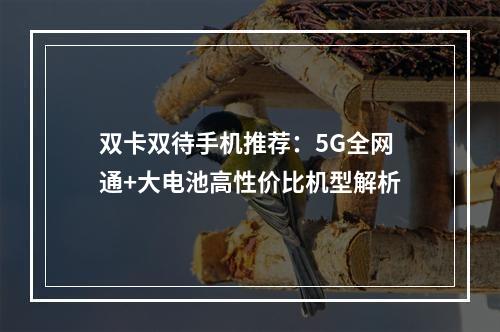 双卡双待手机推荐：5G全网通+大电池高性价比机型解析