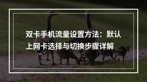 双卡手机流量设置方法：默认上网卡选择与切换步骤详解