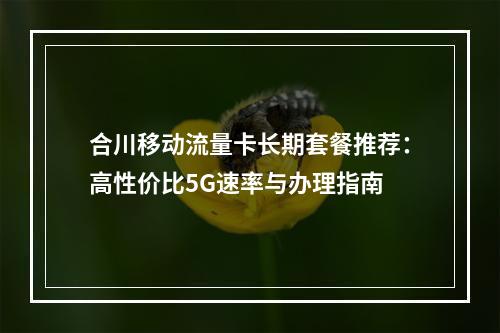 合川移动流量卡长期套餐推荐：高性价比5G速率与办理指南