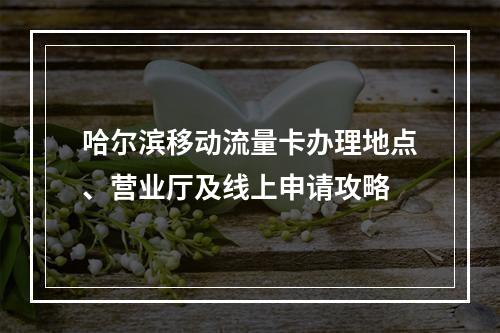 哈尔滨移动流量卡办理地点、营业厅及线上申请攻略