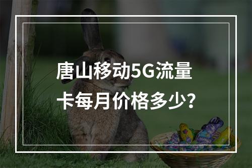 唐山移动5G流量卡每月价格多少？