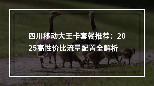 四川移动大王卡套餐推荐：2025高性价比流量配置全解析