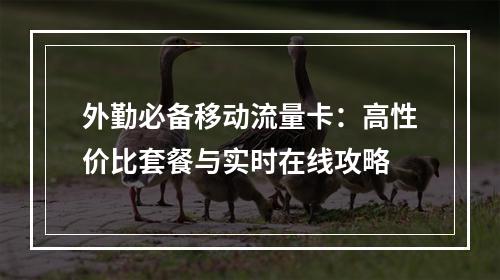 外勤必备移动流量卡：高性价比套餐与实时在线攻略