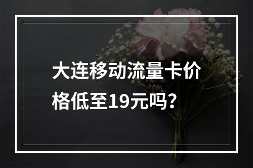 大连移动流量卡价格低至19元吗？