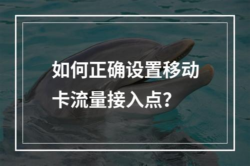 如何正确设置移动卡流量接入点？