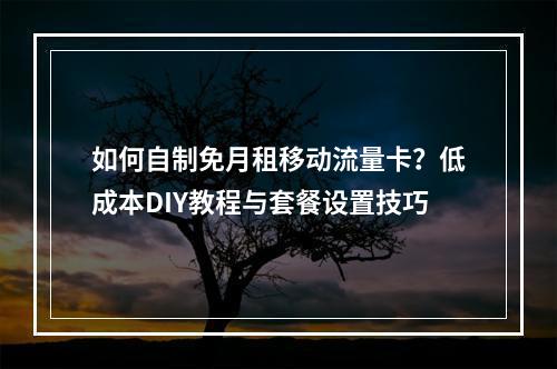 如何自制免月租移动流量卡？低成本DIY教程与套餐设置技巧