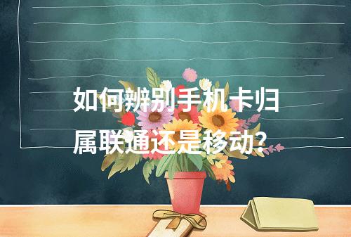 如何辨别手机卡归属联通还是移动？