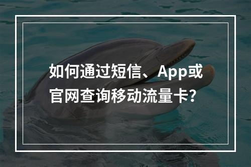 如何通过短信、App或官网查询移动流量卡？