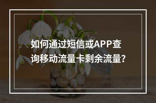 如何通过短信或APP查询移动流量卡剩余流量？
