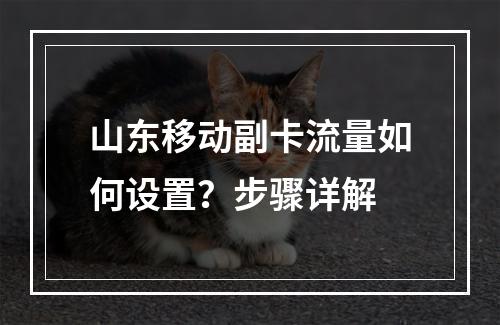 山东移动副卡流量如何设置？步骤详解