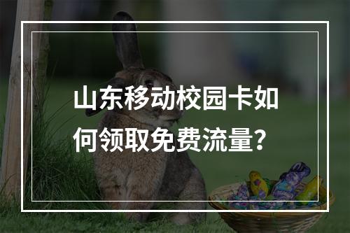 山东移动校园卡如何领取免费流量？