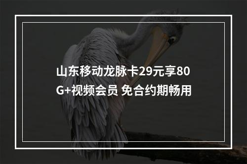 山东移动龙脉卡29元享80G+视频会员 免合约期畅用
