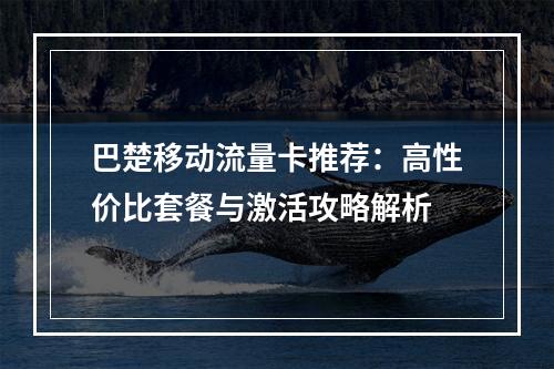 巴楚移动流量卡推荐：高性价比套餐与激活攻略解析