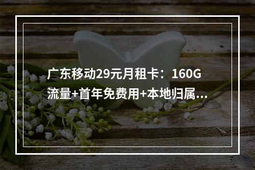 广东移动29元月租卡：160G流量+首年免费用+本地归属地任选