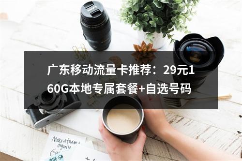 广东移动流量卡推荐：29元160G本地专属套餐+自选号码