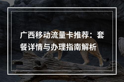 广西移动流量卡推荐：套餐详情与办理指南解析