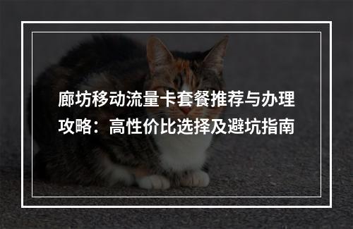 廊坊移动流量卡套餐推荐与办理攻略：高性价比选择及避坑指南