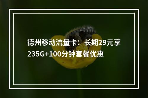德州移动流量卡：长期29元享235G+100分钟套餐优惠