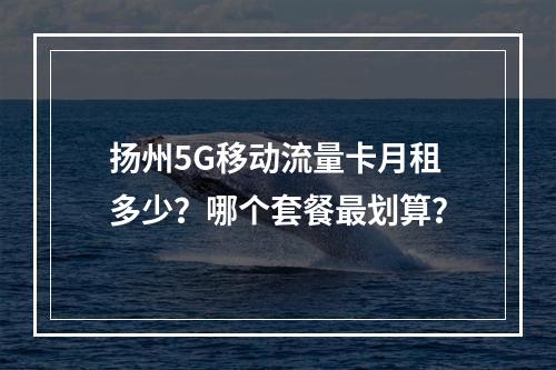 扬州5G移动流量卡月租多少？哪个套餐最划算？