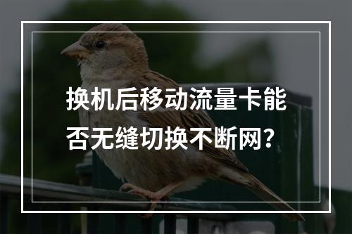 换机后移动流量卡能否无缝切换不断网？
