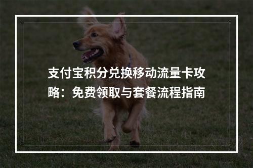 支付宝积分兑换移动流量卡攻略：免费领取与套餐流程指南