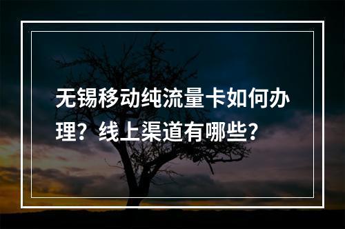无锡移动纯流量卡如何办理？线上渠道有哪些？
