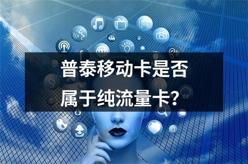 普泰移动卡是否属于纯流量卡？