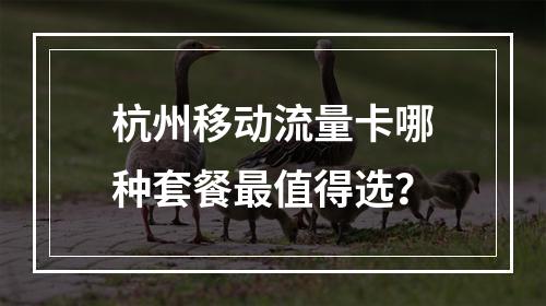 杭州移动流量卡哪种套餐最值得选？