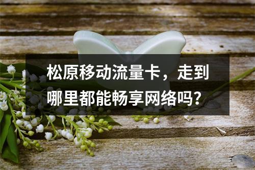 松原移动流量卡，走到哪里都能畅享网络吗？