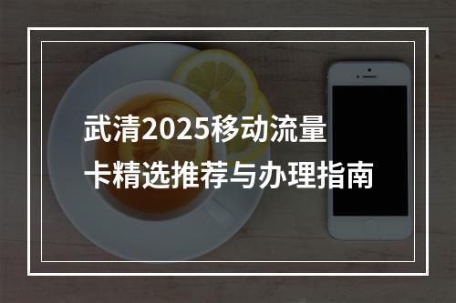 武清2025移动流量卡精选推荐与办理指南