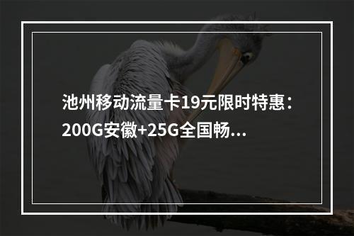 池州移动流量卡19元限时特惠：200G安徽+25G全国畅享