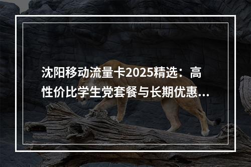沈阳移动流量卡2025精选：高性价比学生党套餐与长期优惠攻略