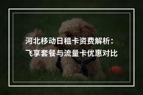 河北移动日租卡资费解析：飞享套餐与流量卡优惠对比
