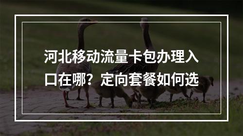 河北移动流量卡包办理入口在哪？定向套餐如何选