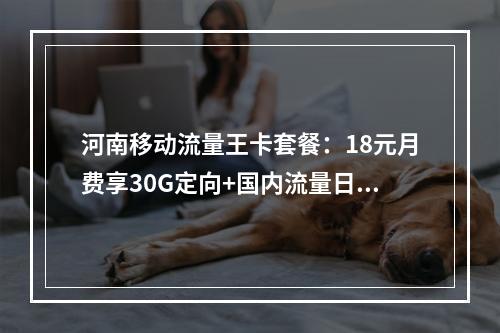 河南移动流量王卡套餐：18元月费享30G定向+国内流量日租