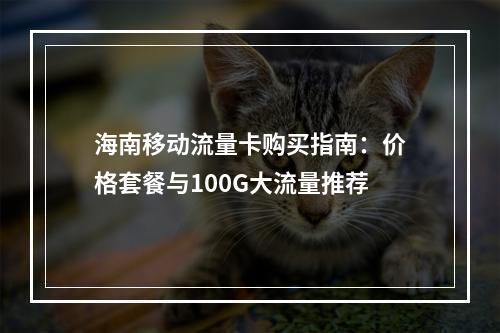 海南移动流量卡购买指南：价格套餐与100G大流量推荐
