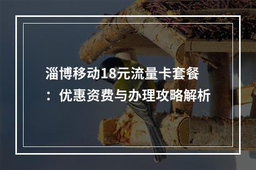 淄博移动18元流量卡套餐：优惠资费与办理攻略解析