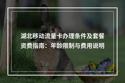 湖北移动流量卡办理条件及套餐资费指南：年龄限制与费用说明