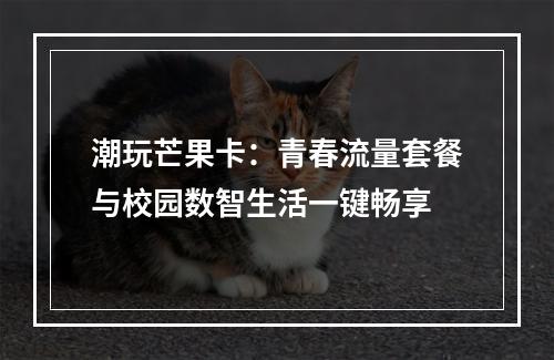 潮玩芒果卡：青春流量套餐与校园数智生活一键畅享
