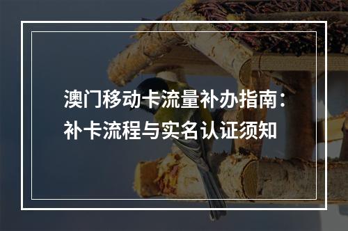 澳门移动卡流量补办指南：补卡流程与实名认证须知