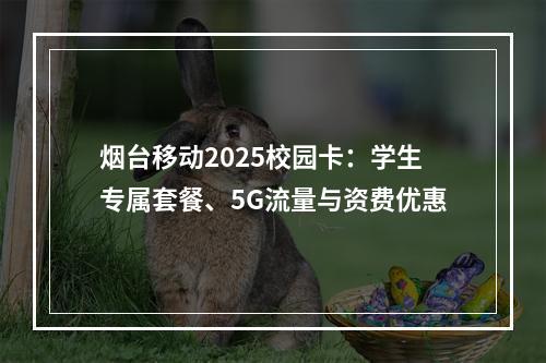 烟台移动2025校园卡：学生专属套餐、5G流量与资费优惠