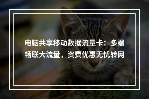 电脑共享移动数据流量卡：多端畅联大流量，资费优惠无忧转网