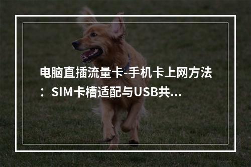 电脑直插流量卡-手机卡上网方法：SIM卡槽适配与USB共享教程