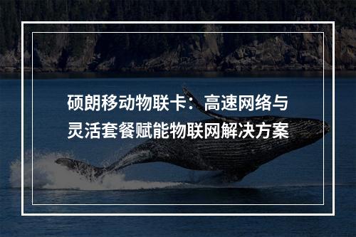 硕朗移动物联卡：高速网络与灵活套餐赋能物联网解决方案