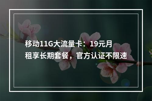 移动11G大流量卡：19元月租享长期套餐，官方认证不限速
