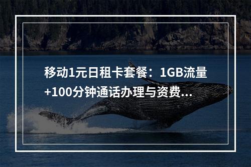 移动1元日租卡套餐：1GB流量+100分钟通话办理与资费解析